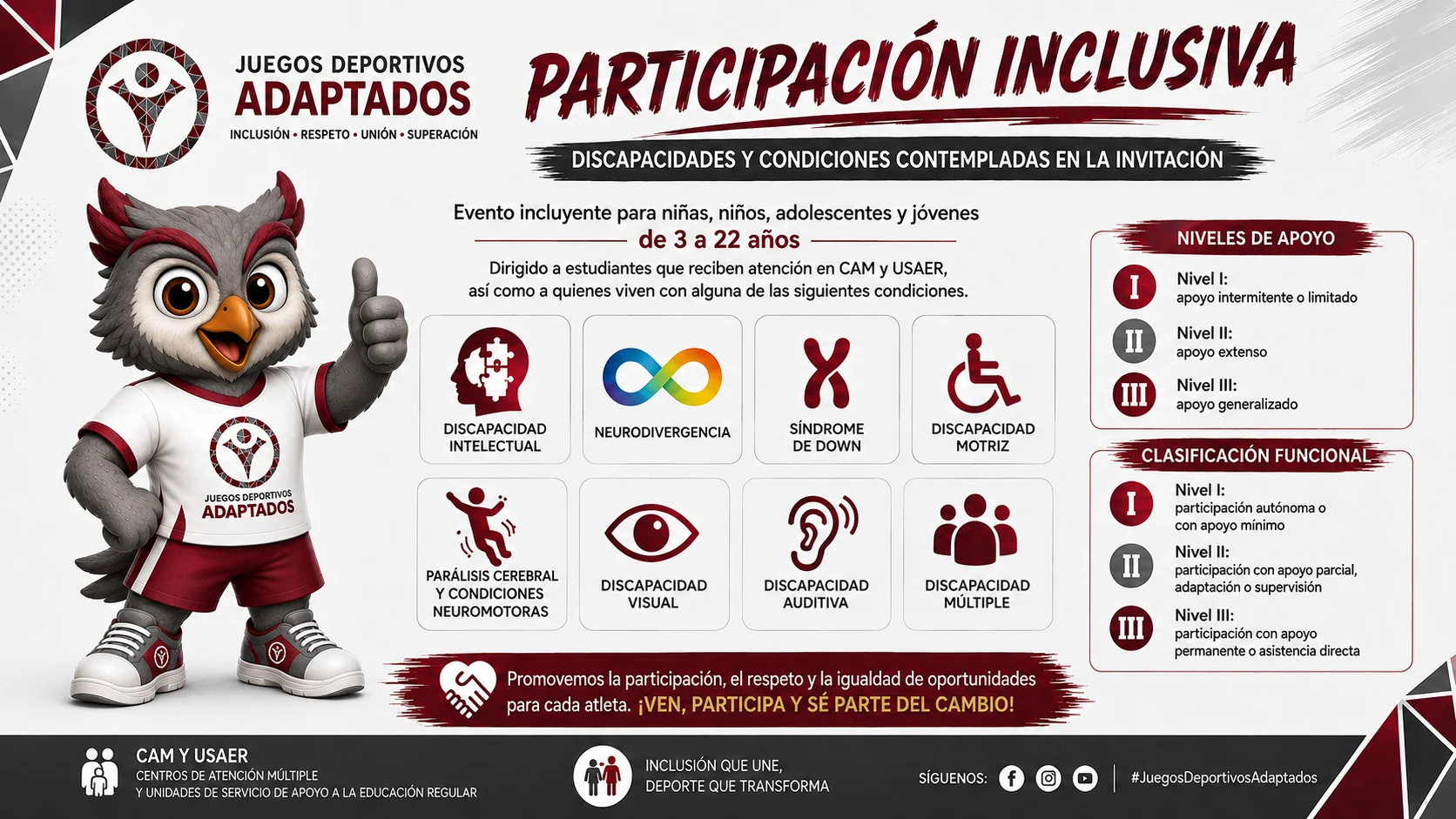 Discapacidades y condiciones contempladas